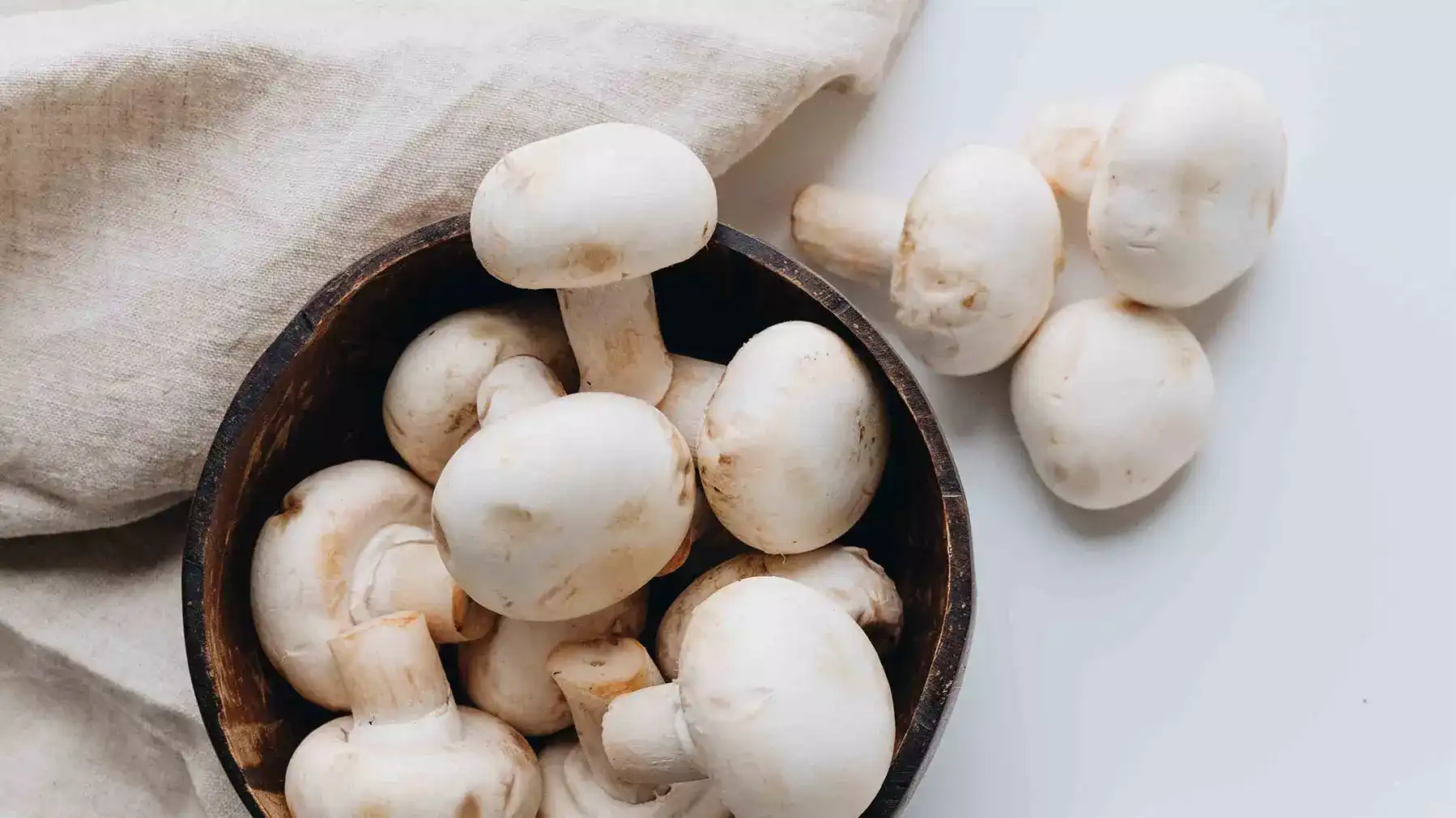 Boost Your Immunity with Agaricus Bisporus Powder
